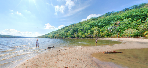 A serene beach scene with two people and a dog by the water, surrounded by lush green hills under a blue sky.