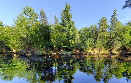 Lush green trees reflect in calm water under a clear blue sky, creating a serene natural landscape.