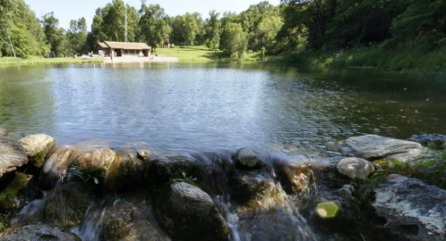 A serene pond with a small waterfall in the foreground and a rustic cabin surrounded by trees in the background.