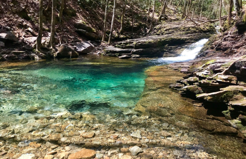 A serene forest scene featuring a clear, turquoise pool of water with a small waterfall and rocky surroundings.