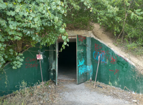An overgrown entrance to a bunker, with graffiti on the walls and a path leading up to it.