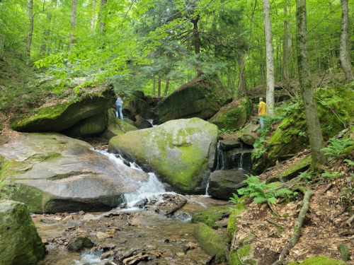 Two people explore a lush green forest with large moss-covered rocks and a small stream flowing through.