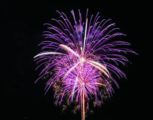 Vibrant purple fireworks burst against a dark night sky, creating a stunning display of light and color.