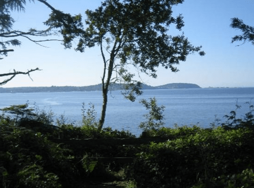 A serene view of a calm blue sea framed by trees and greenery, with distant hills on the horizon under a clear sky.