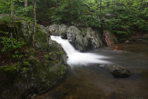 A serene waterfall cascades over rocks into a calm pool, surrounded by lush green trees and foliage.
