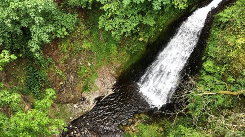 A cascading waterfall surrounded by lush green foliage and rocky terrain.