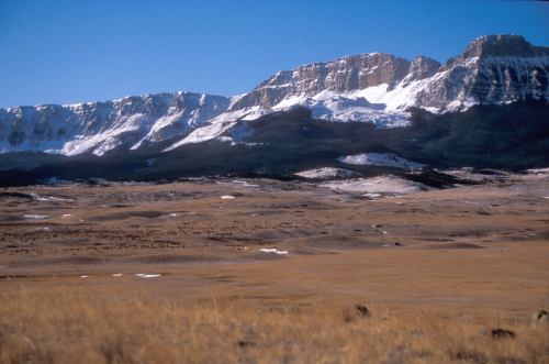 A vast landscape featuring golden grasslands in the foreground and snow-capped mountains under a clear blue sky.