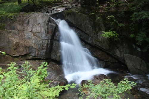 A serene waterfall cascading over rocks, surrounded by lush greenery in a tranquil forest setting.
