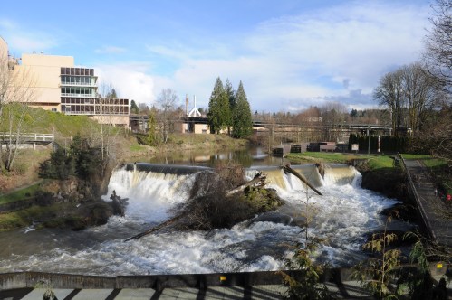 A scenic view of a waterfall surrounded by greenery, with a building and trees in the background under a blue sky.