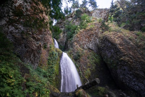 A serene waterfall cascading down moss-covered rocks, surrounded by lush greenery and towering trees.
