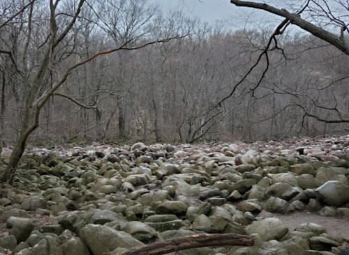 A rocky landscape with scattered boulders and bare trees under a cloudy sky.