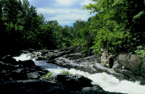 A rushing river flows over rocky terrain, surrounded by lush green trees under a partly cloudy sky.