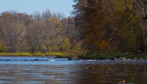 A serene river scene with calm water, surrounded by trees in autumn colors and a clear blue sky.