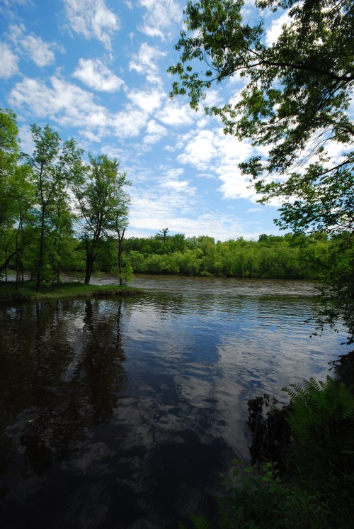 A serene river scene surrounded by lush green trees and a blue sky with scattered clouds reflecting on the water.