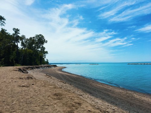 A serene beach scene with sandy shores, calm blue water, and a clear sky dotted with clouds. Trees line the shore.