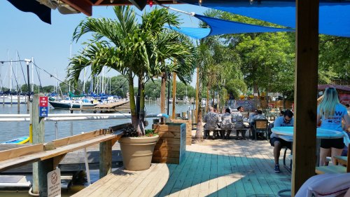 A sunny waterfront scene with palm trees, boats in the background, and people dining on a wooden deck.