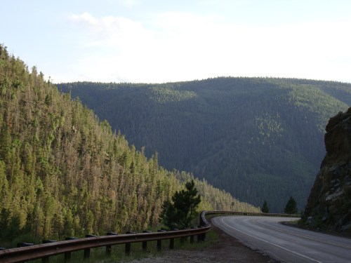A winding road through a lush green forest with mountains in the background under a clear sky.