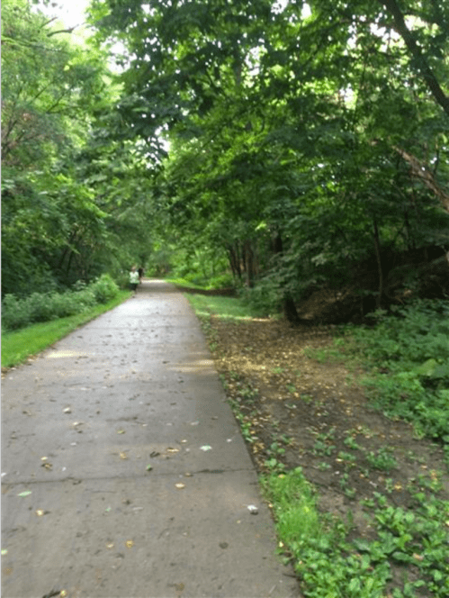 A serene pathway through a lush green forest, with trees lining both sides and a person walking in the distance.