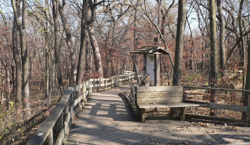 A wooden path winds through a forest with bare trees and a bench along the side, surrounded by autumn foliage.