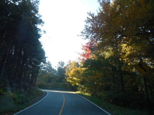 Curving road surrounded by vibrant autumn trees under a clear blue sky.