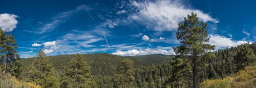 Panoramic view of a lush green forest under a bright blue sky with scattered clouds.