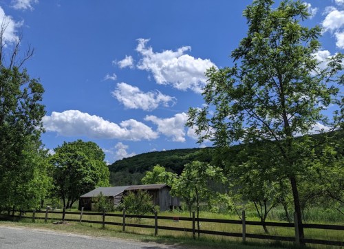 A rustic cabin surrounded by lush greenery and trees under a bright blue sky with fluffy white clouds.