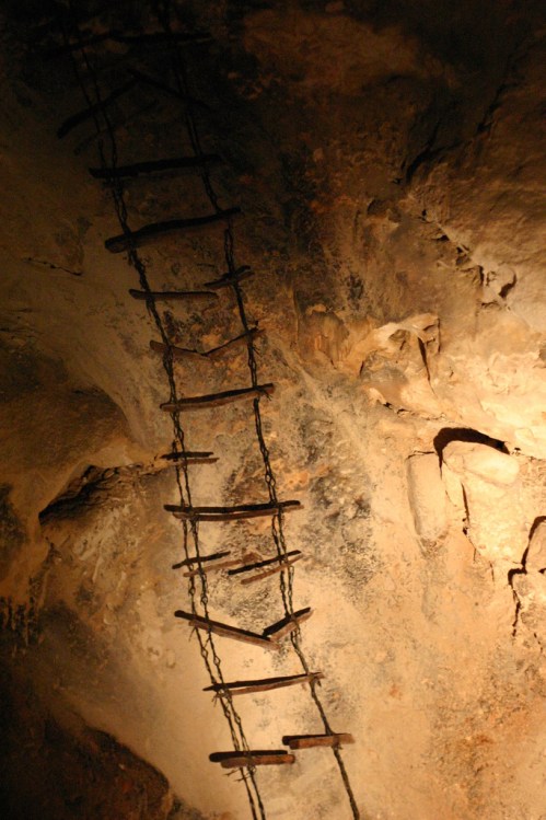 A dimly lit cave interior featuring a wooden ladder against a rocky wall.