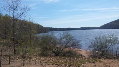 A serene lakeside view with trees and shrubs along the shore under a clear blue sky.
