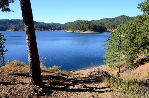 A serene lake surrounded by green trees and mountains under a clear blue sky.