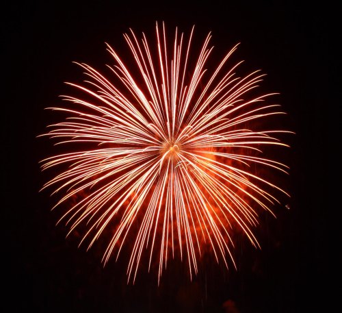 A vibrant red firework bursting in the night sky, radiating bright sparks in all directions.
