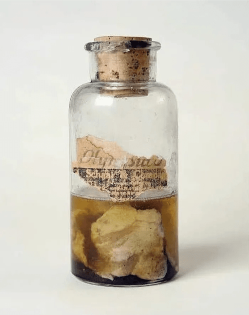 A glass bottle with a cork stopper containing sediment and a label, partially submerged in a liquid.