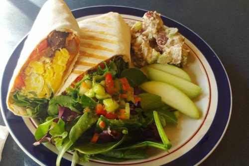 A plate with a grilled wrap filled with eggs and vegetables, a side salad, apple slices, and a scoop of chicken salad.
