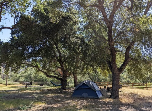 A blue tent set up under large trees in a grassy area, with a hammock and picnic table nearby.