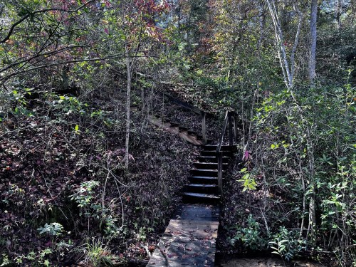 A wooden staircase leads up a hillside surrounded by lush greenery and colorful autumn foliage.