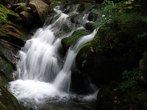 A serene waterfall cascading over moss-covered rocks in a lush, green forest.