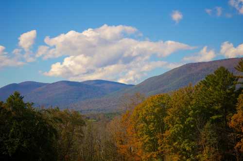 Scenic view of mountains under a blue sky with clouds, surrounded by autumn-colored trees.