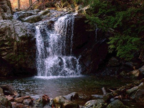 A serene waterfall cascading over rocks into a calm pool, surrounded by lush greenery and autumn foliage.