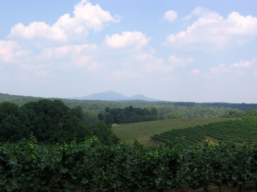 A scenic view of rolling hills and vineyards under a partly cloudy sky, with distant mountains in the background.