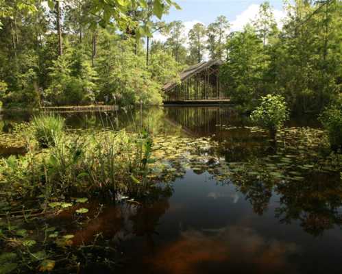 A serene pond surrounded by lush greenery and trees, with a wooden structure in the background reflecting on the water.