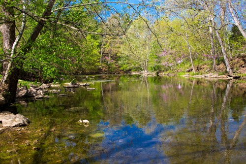 A serene river scene with clear water reflecting trees and blue sky, surrounded by lush greenery and blooming flowers.