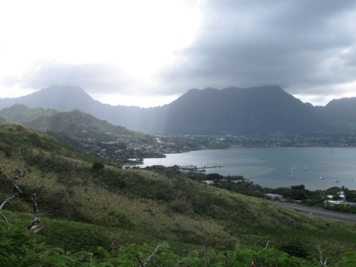 A scenic view of mountains and a bay under cloudy skies, with greenery in the foreground and boats in the water.