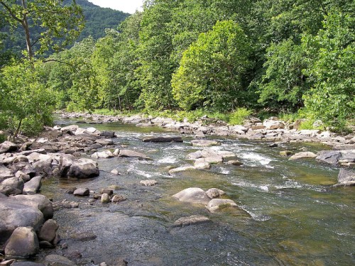 A serene river flows through a rocky landscape, surrounded by lush green trees and mountains in the background.