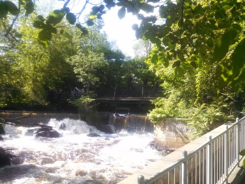 A serene river flows over rocks, surrounded by lush greenery and a bridge in the background under a clear blue sky.