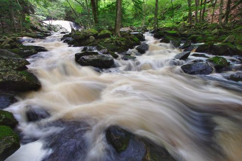 A flowing river with smooth water over rocks, surrounded by lush green trees and a waterfall in the background.