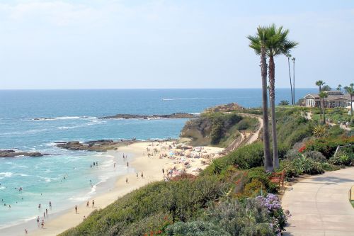 A scenic beach view with palm trees, sandy shore, and people enjoying the water under a clear blue sky.