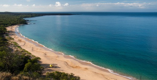 A serene beach with golden sand and calm blue waters, surrounded by lush greenery under a clear sky.