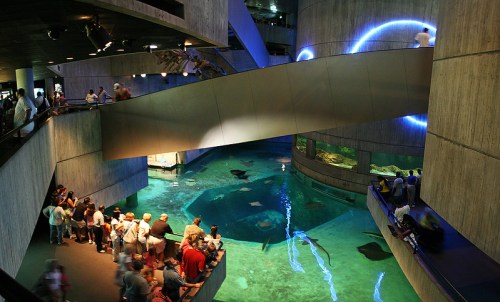 A spacious aquarium interior with visitors observing marine life through large tanks and a modern architectural design.
