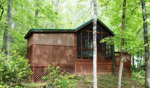 A wooden cabin with a screened porch, surrounded by lush green trees in a forested area.