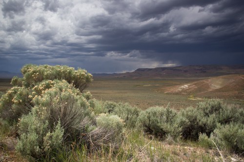 A vast, open landscape with sagebrush under a dramatic, cloudy sky and distant mountains.