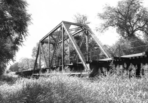Black and white image of a metal truss bridge surrounded by tall grass and trees.